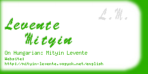 levente mityin business card